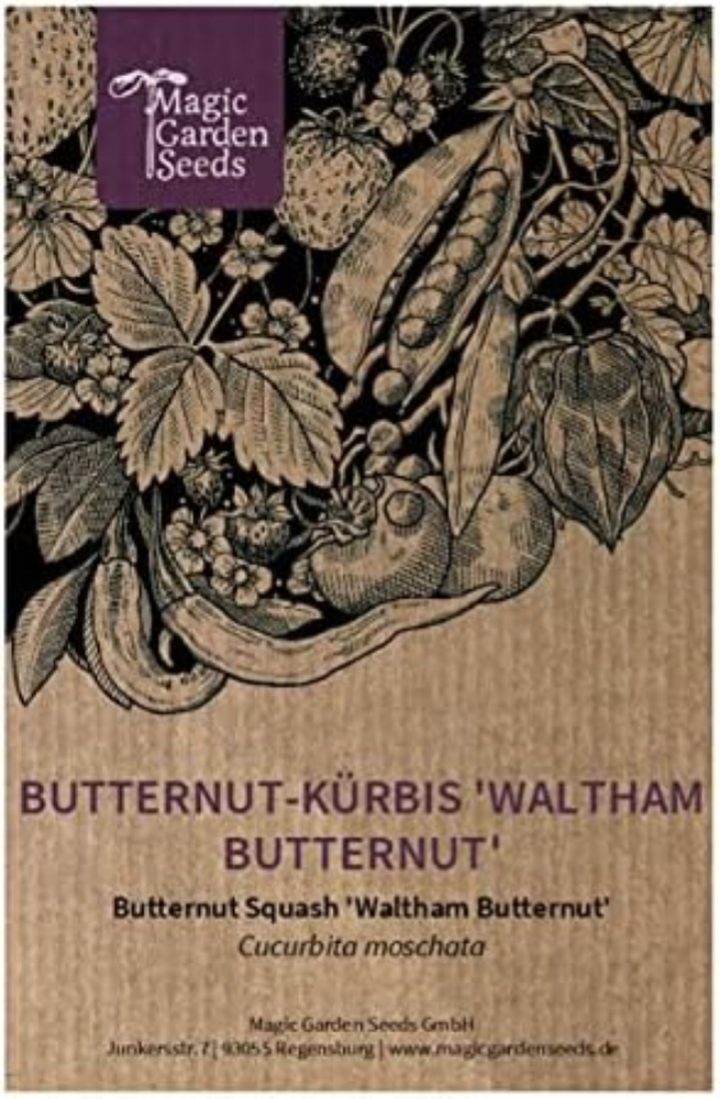 Zucca 'Waltham Butternut' (Cucurbita moschata) - circa 5 semi