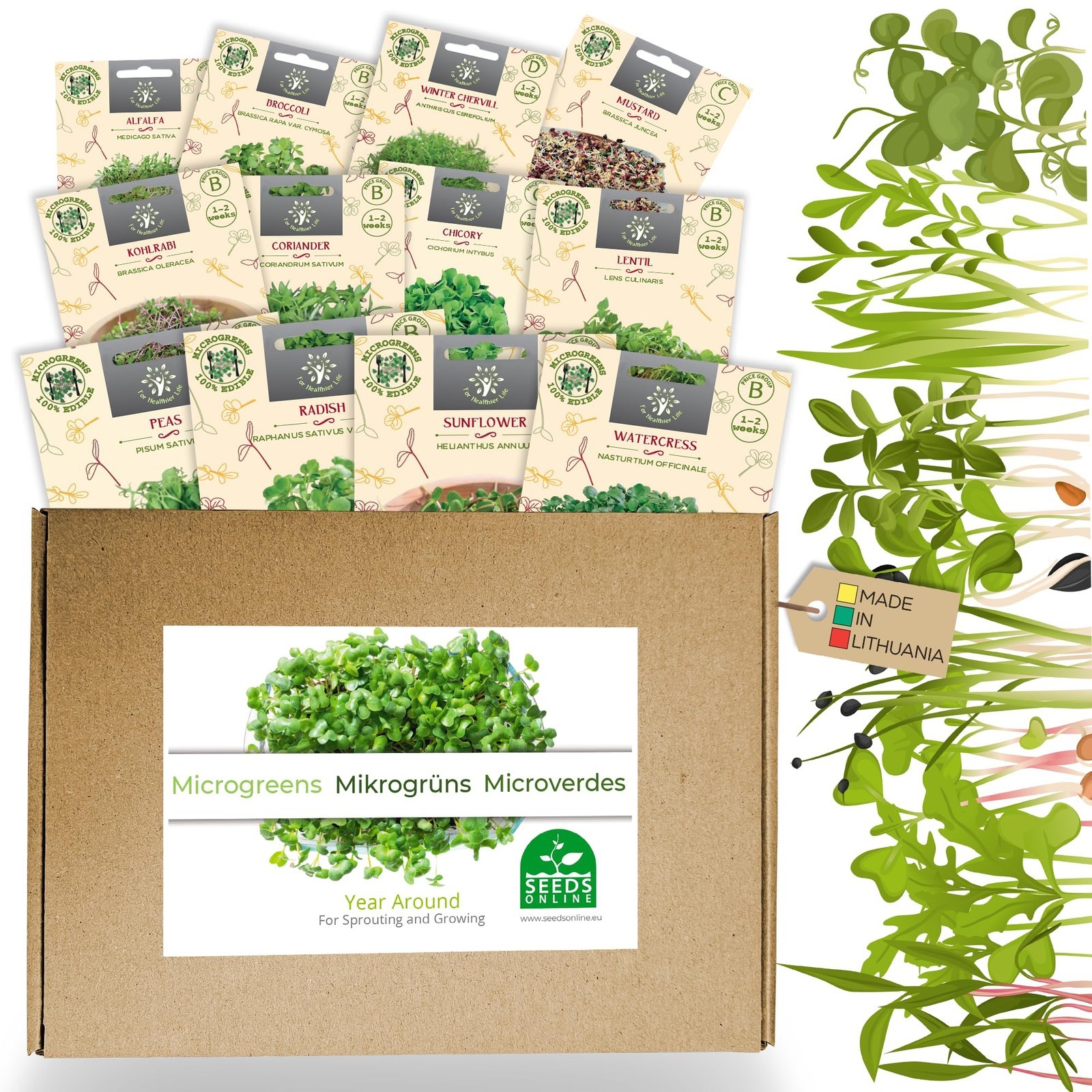 Nojus Microgreen set di semi - 12 Confezioni Semi di Verdure - Kit di (n4P)