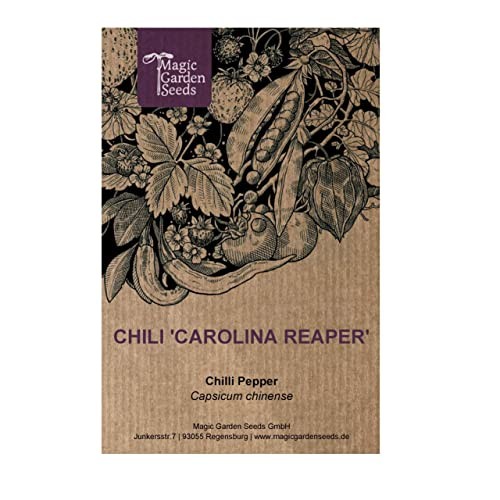 Peperoncino 'Carolina Reaper' (Capsicum chinense) (P0s)