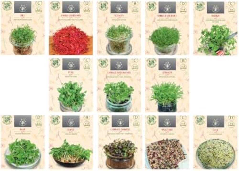 Nojaus Seklos Set di semi di verdure microgreen - 13 varietÃ  per giardinaggio i