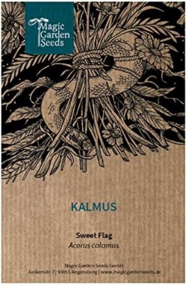 Calamo aromatico (Acorus calamus) - circa 20 semi