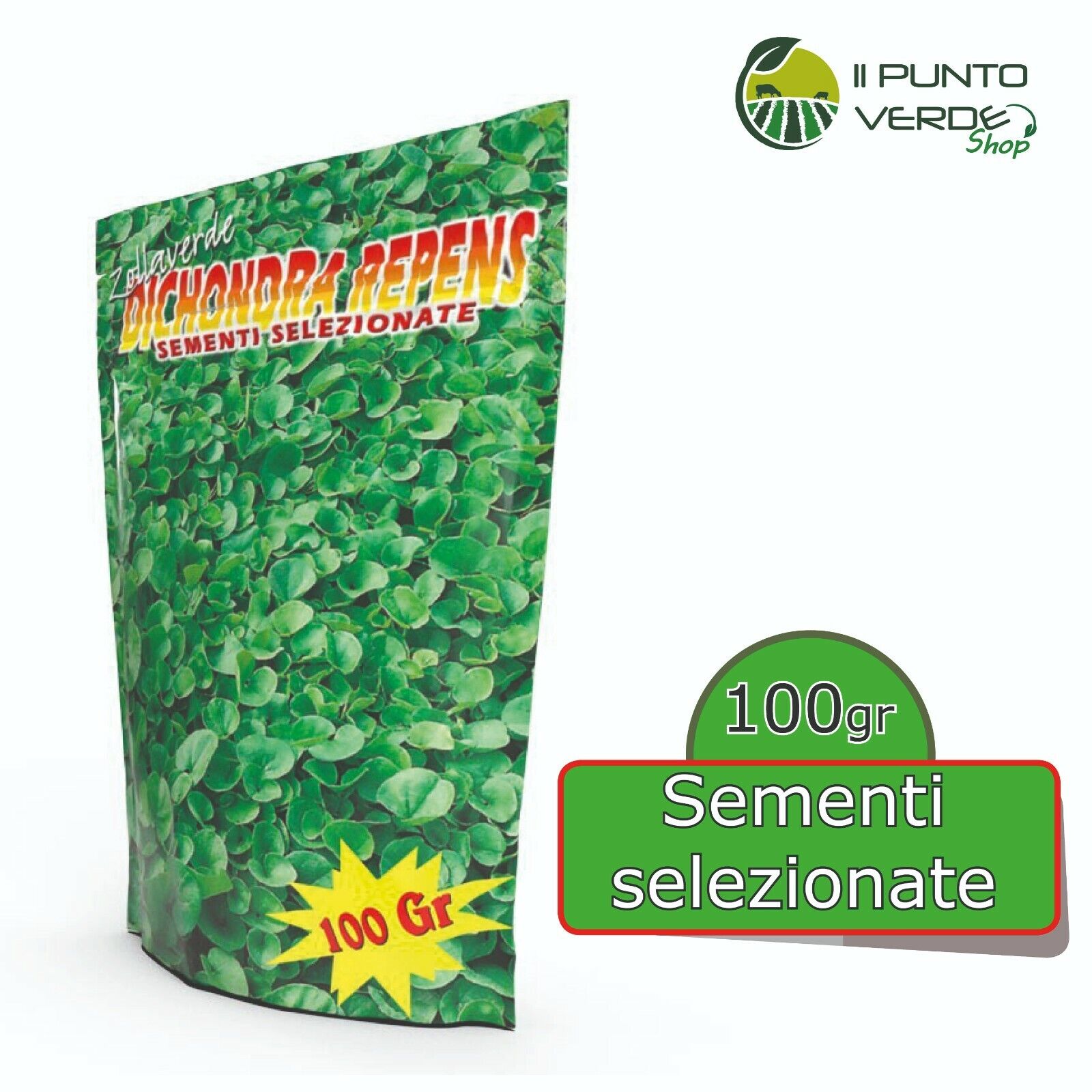 Bottos DICONDRA Repens 100 gr seme dichondra prato ornamentale pregiato PROMO