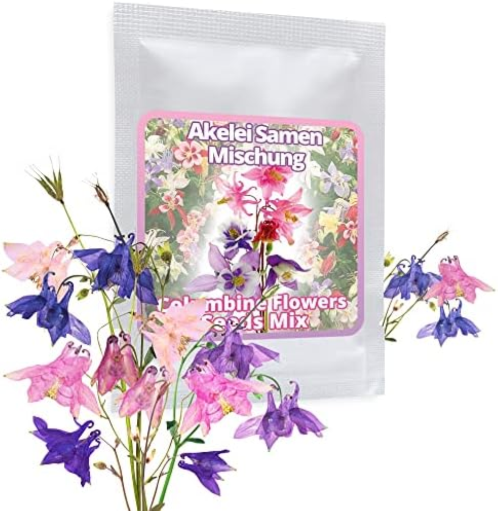 Miscela colorata di aquilegia circa 50 semi - perenne/resistente