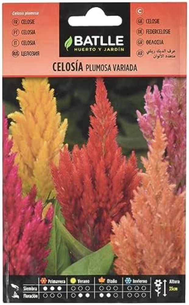 Semillas Batlle Celosia Piuma variegata