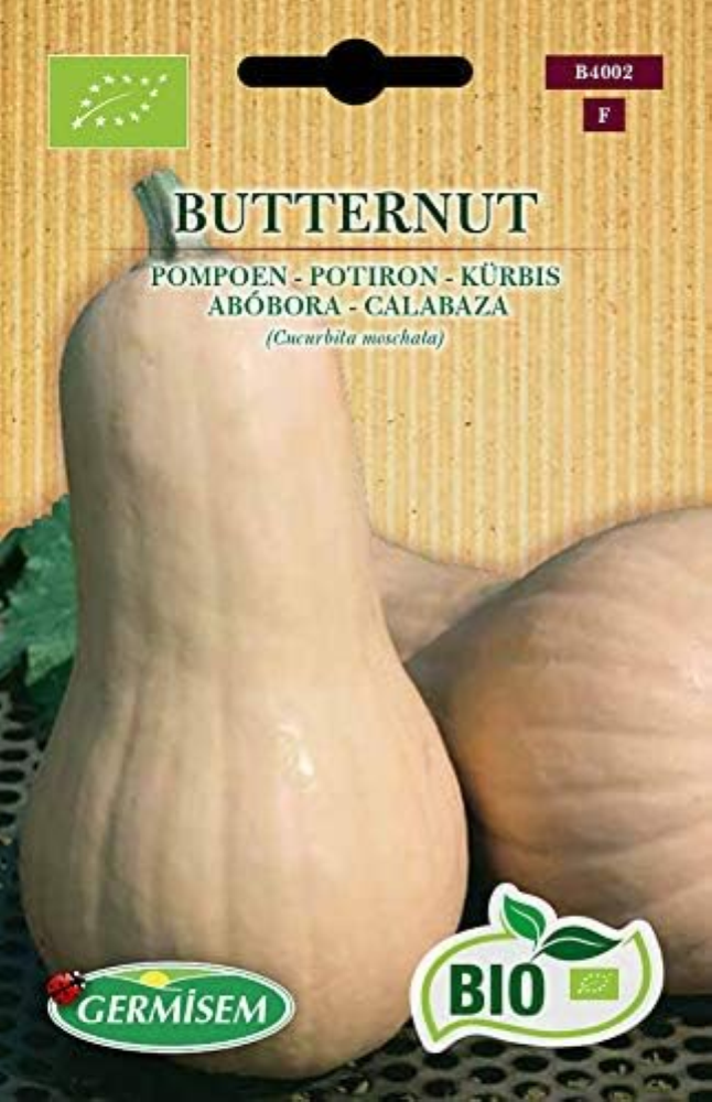 Biologico Butternut Semi di Zucca 2 g