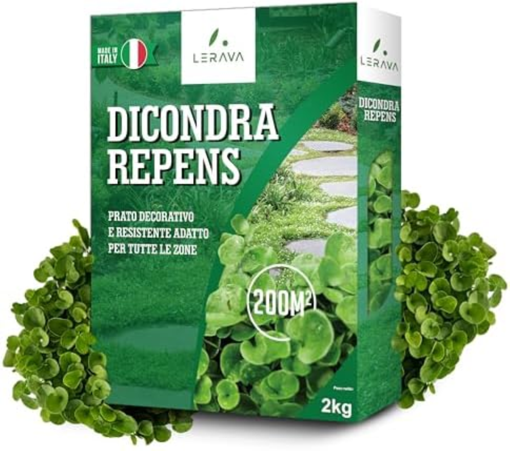 Dicondra semi [Non Richiede Taglio] - 20mÂ² - Estrema resistenza alla siccitÃ  -