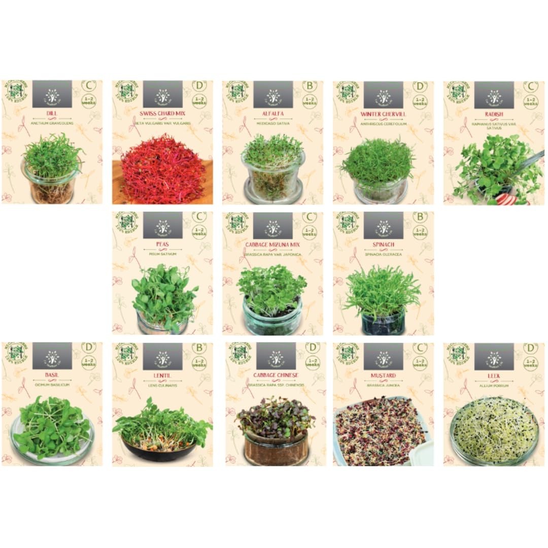 Nojaus Seklos Set di semi di verdure microgreen - 13 varietà per (K3n)