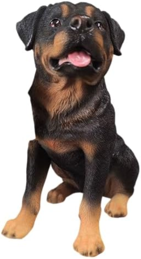 Vivid Arts - Rottweiler - XRL-ROTT-D