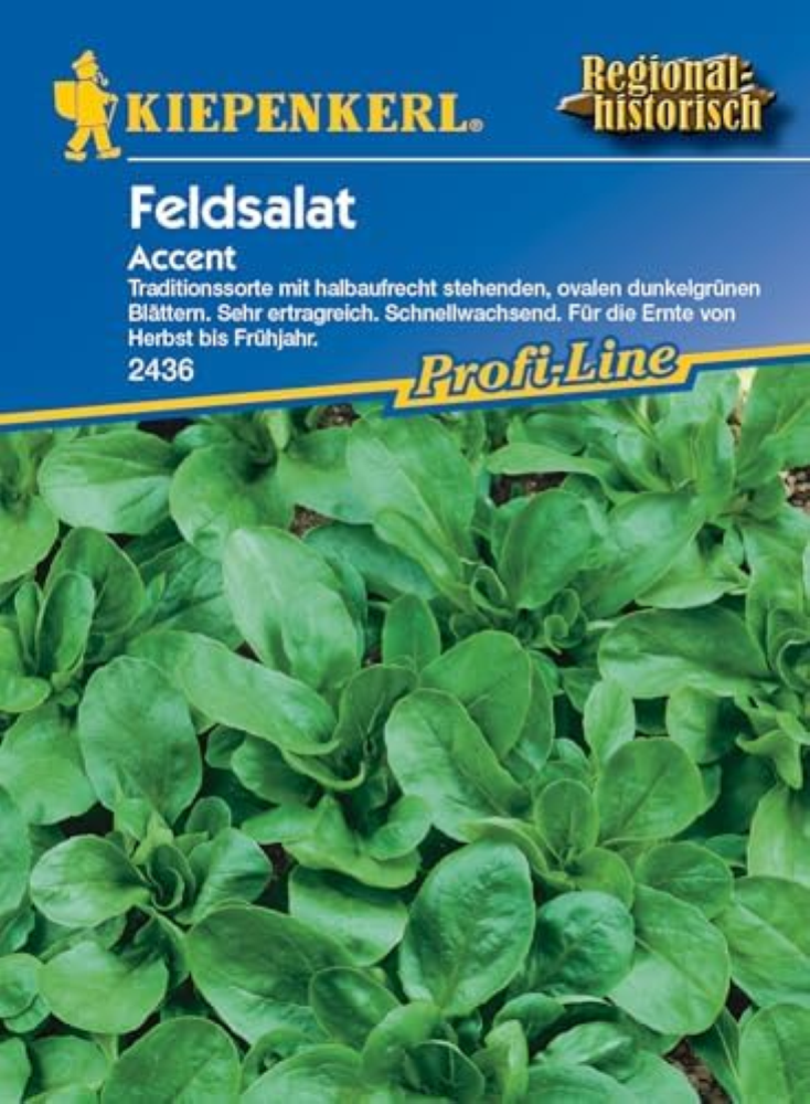 2436 Kiepenkerl Accent Feldsalat Samen Winterhart | Extra Frosthart | Schnellwac