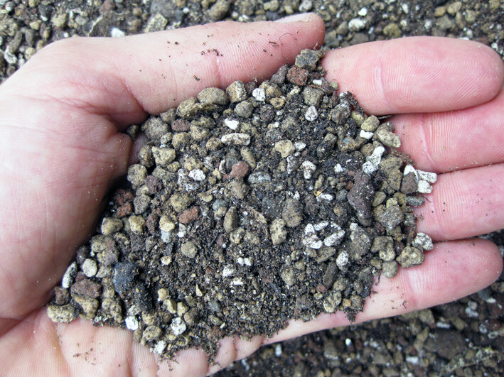Terriccio, substrato professionale per piante grasse (cactus - succulente) (Top