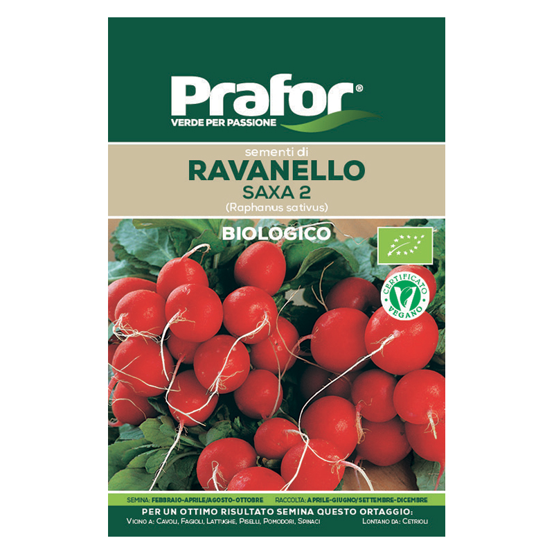 HORTUS Semi prafor ravanello saxa bio