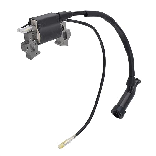 Cancanle Modulo Bobina Di Accensione Per Honda Gx100 Gx120 Gx160 Gx200 5.5Hp 6.5Hp Motore