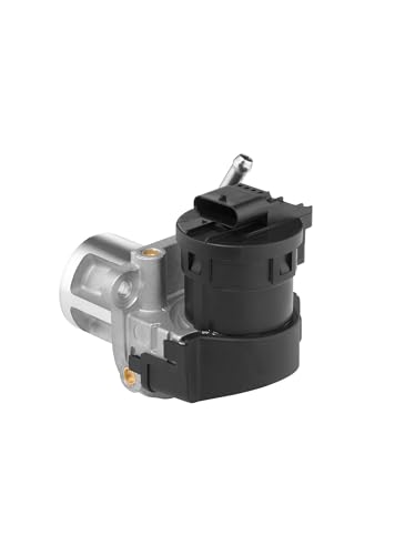 Wahler 710095D/1 Valvola Egr