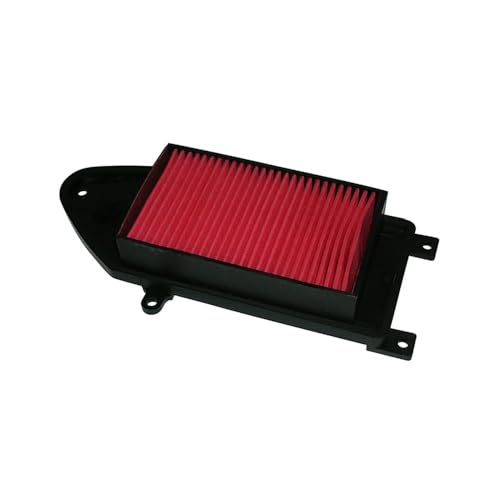 Bcr Hokio Filtro Aria Compatibile Kymco Agility R16 125/150/200Cc Elemento Filtro D'Aria Aspirazione Ricambio Moto Scooter Malaguti Ciak 125/150/200Cc