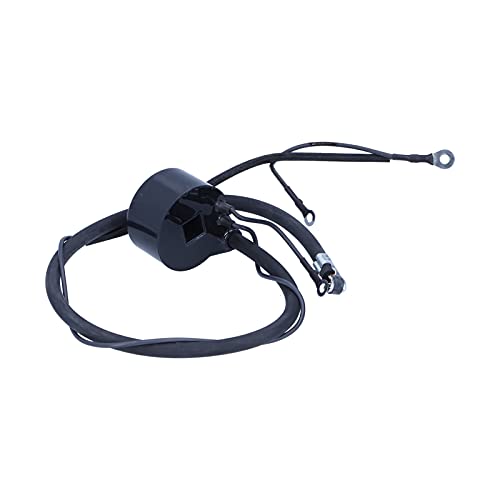 Bobina D'Accensione Per Decespugliatore, Ignition Coil Sostituzione Modulo Motore Accessori Ricambio Professionali Durevole Ricambi Motoseghe Tagliaer