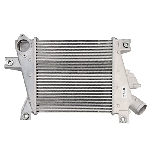 Thermotec Intercooler Da1012Tt Per X-Trail (T30)