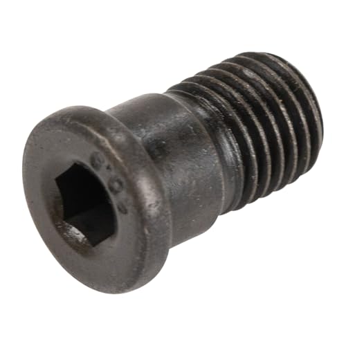 Perno Di Centraggio Per Disco Freno M10 X1,25 46849187