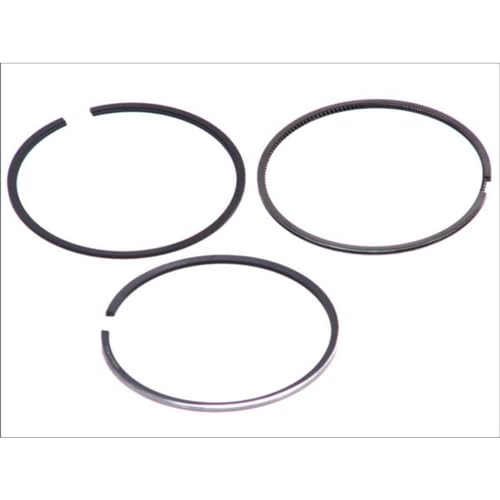 Goetze Engine 08-520200-00 - Kit Fasce Elastiche