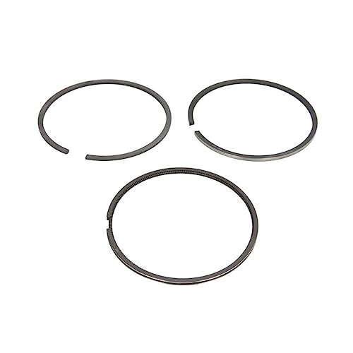 Goetze Engine 08-103900-00 - Kit Fasce Elastiche