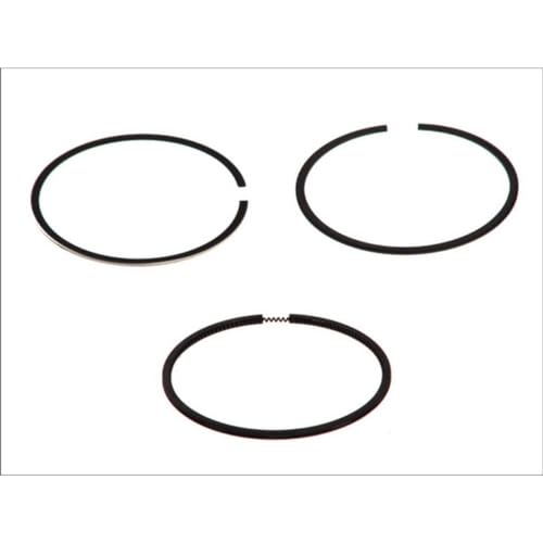 Goetze Engine 08-142400-00 - Kit Fasce Elastiche