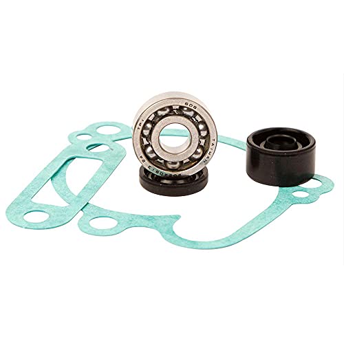 Kit Di Riparazione Bomba Di Agua Hot Rods Wpk0034