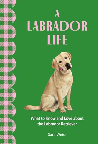 A Labrador Life: What To Know And Love About The Labrador Retriever