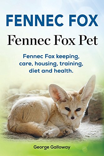 Fennec Fox. Fennec Fox Pet. Fennec Fox Keeping, Care, Housing, Training, Diet And Health.