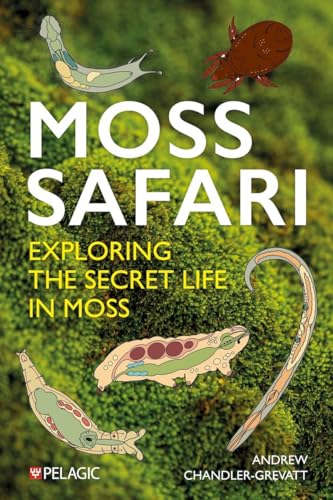 Moss Safari: Exploring The Secret Life In Moss
