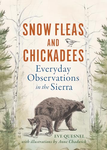 Snow Fleas And Chickadees: Everyday Observations In The Sierra