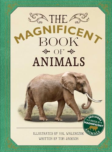 The Magnificent Book Of Animals
