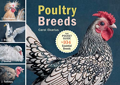 Poultry Breeds: Chickens, Ducks, Geese, Turkeys: The Pocket Guide To 104 Essential Breeds