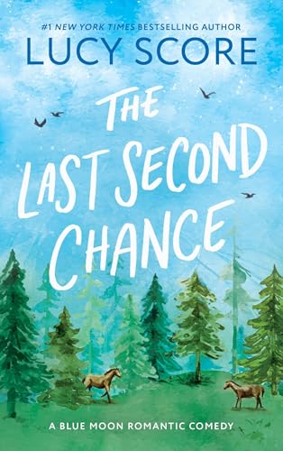 The Last Second Chance: A Small Town Enemies To Lovers Romcom