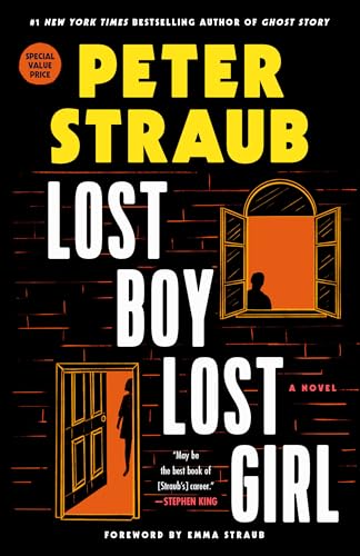 Lost Boy Lost Girl: A Novel