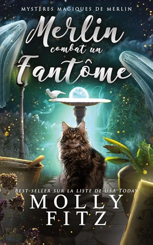 Merlin Combat Un Fantôme: 2
