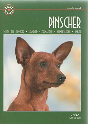 Pinscher