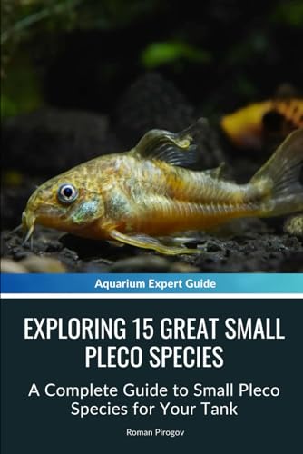 Exploring 15 Great Small Pleco Species: A Complete Guide To Small Pleco Species For Your Tank