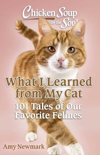 Chicken Soup For The Soul: What I Learned From My Cat: 101 Tales Of Our Favorite Felines