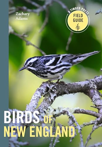 Birds Of New England: Timber Press Field Guide