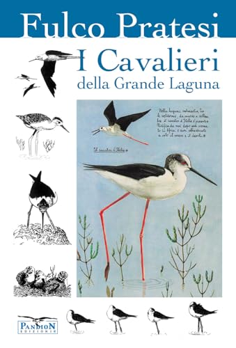 I Cavalieri Della Grande Laguna