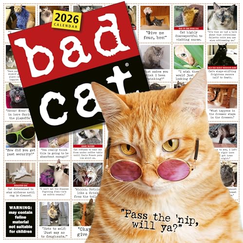 Bad Cat Wall Calendar 2026: Celebrating The Misfits Of The Feline World