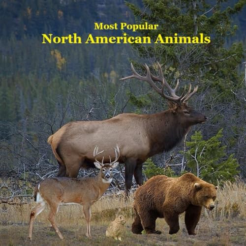 Most Popular North American Animals Kids Book: Children'S Book With Lifelike Pictures And Fun Facts About Animals