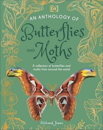 An Anthology Of Butterflies And Moths: A Collection Of Butterflies And Moths From Around The World