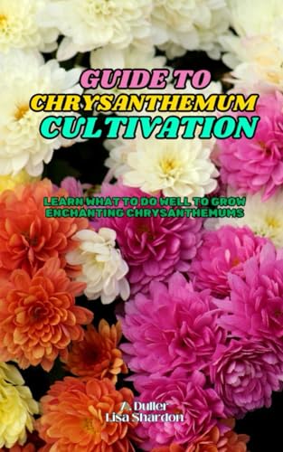 Guide To Chrysanthemum Cultivation: Learn What To Do Well To Grow Enchanting Chrysanthemums