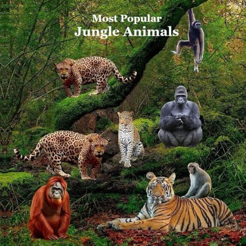 Most Popular Jungle Animals Kids Book: Great Children’S Book About Animals Of The Jungle
