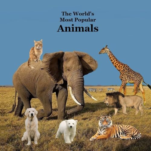The World'S Most Popular Animals Children'S Book: Great Book For Kids About The Animals Of The World