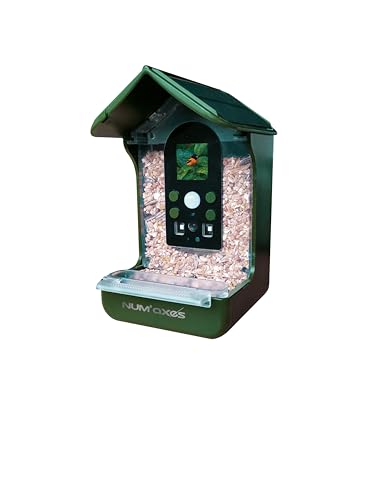 Bird Feeder Camera 1074