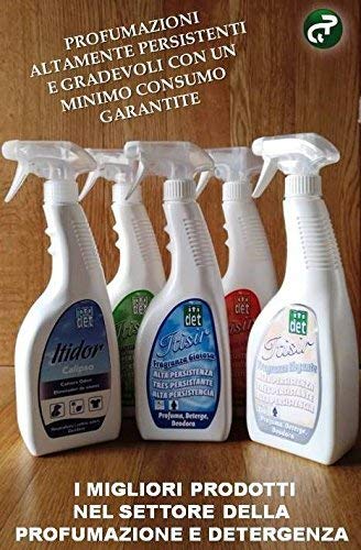 Deodorante Detergente Per Tutte Le Superfici Itisir Fragranza Gentile