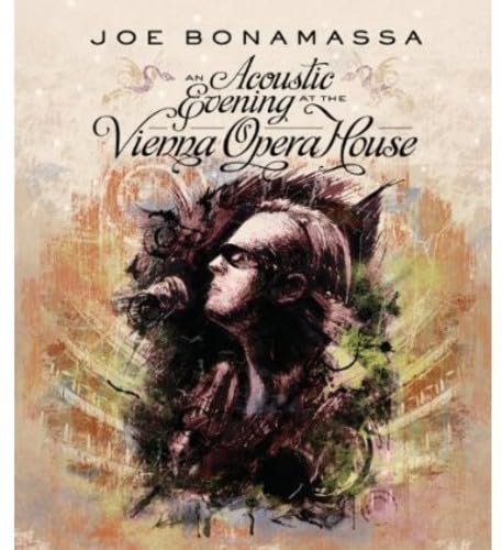 An Acoustic Evening At The Vienna Opera House