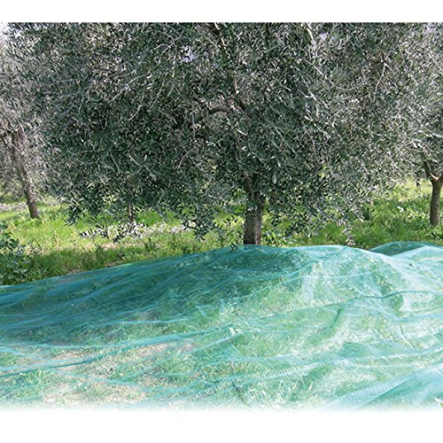 Rete Olive Mt. 5X100 Antispina