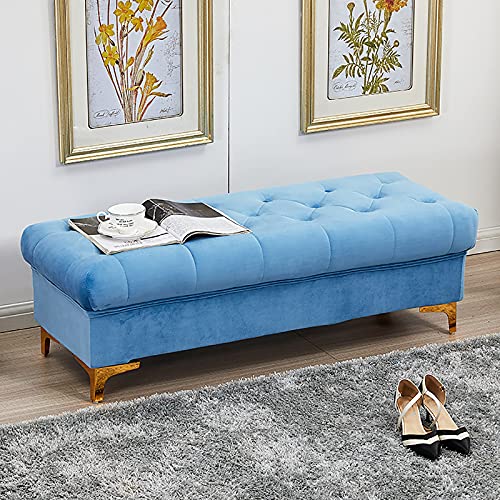 Dgdhhsfjdj Panca Contenitore In Velluto Di Alta Qualità - Pouf Moderno Imbottito Per Soggiorno, Camera Da Letto E Corridoio - Panca Portascarpe Multif